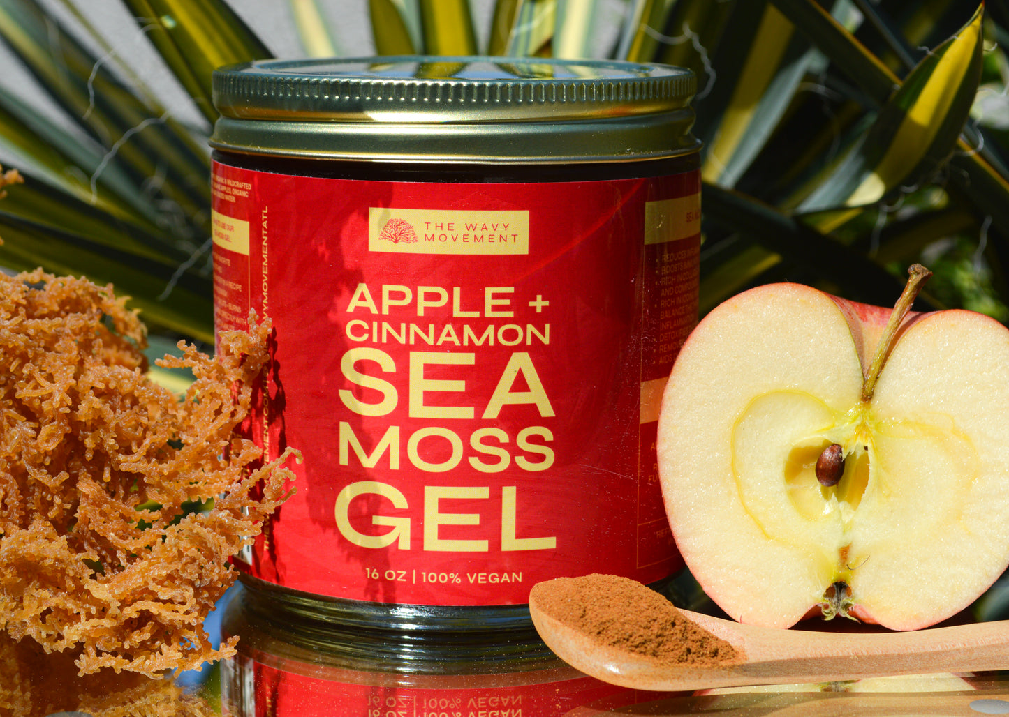 Organic Apple & Cinnamon Sea Moss Infusion