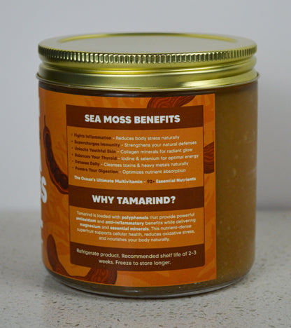 Tamarind & Key Lime Sea Moss Gel Infusion